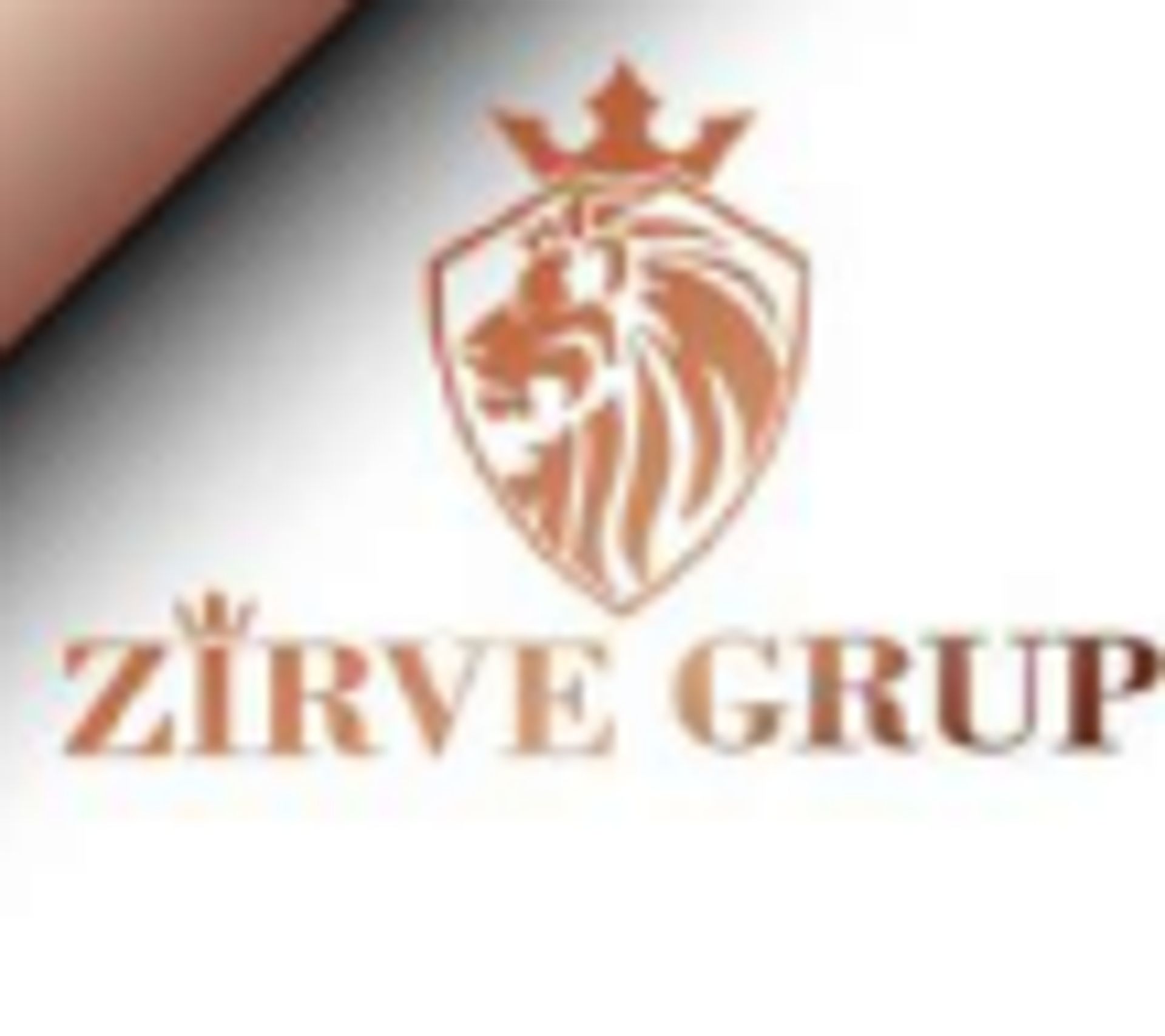 ZİRVE GRUP